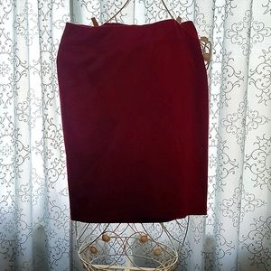 Style & Co. Skirt